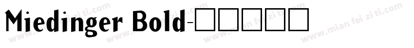 Miedinger Bold字体转换